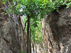 -沈阳辉山风景区