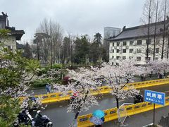 -西安唐皇城墙含光门遗址博物馆
