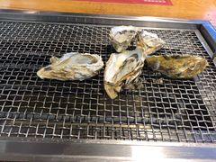 -蚝英雄鲜蚝自助专门店(长楹天街直营店)
