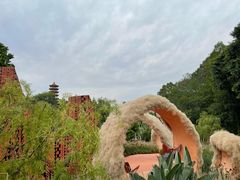 -深圳仙湖植物园