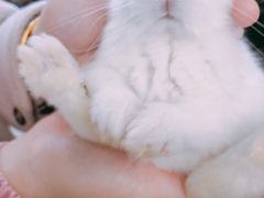 -双季花艺园艺市场(浦东店)