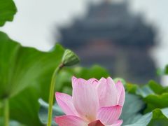 -重元寺