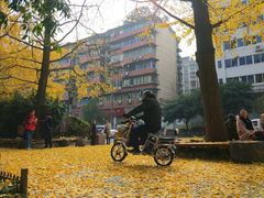 -成都市活水公园