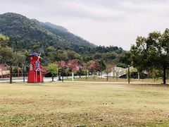 -南丹山森林王国