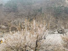 -崂山九水游览区