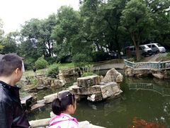 -东湖落雁景区