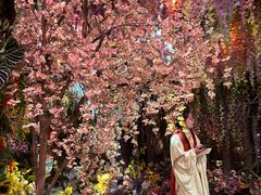 -正佳雨林生态植物园