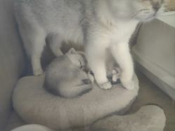 -萌宠亲子动物乐园(槐房万达店)