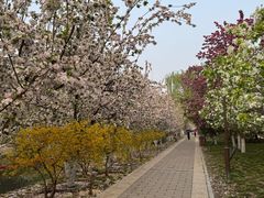 -元大都城垣遗址公园