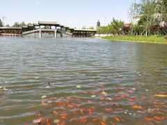 -西海子公园