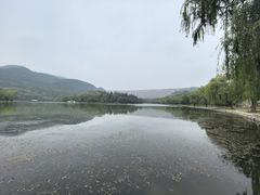 -黄河小浪底水利枢纽风景区