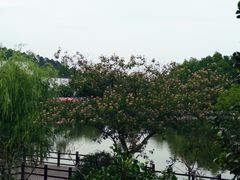 -采石矶景区
