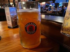 -宝莱纳啤酒花园餐厅PAULANER BRAUHAUS Nanjing(广州路店)