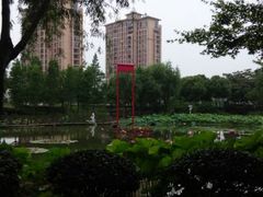 android_upload_pic-陈家山荷花公园