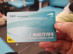 -龙阳路磁悬浮列车总站-停车场