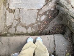 -缙云山景区