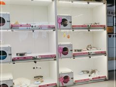-lincat·猫舍(广州店)