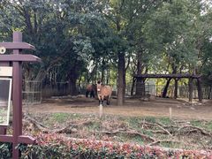 -常州淹城野生动物世界