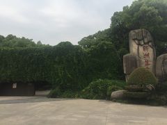 -新洲生态园