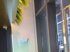 -酒池星座(深圳湾后海汇店)
