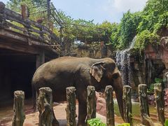 -长鹿旅游休博园