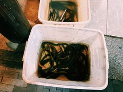 -临江宴餐厅·桐庐菜(富春江店)