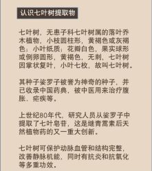 点击看大图 -玛莲朵·海菲秀冰珀科