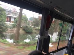 -公交车(申崇六线)