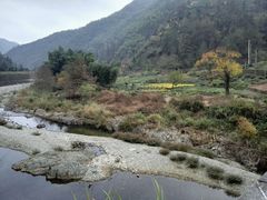 -徽州美食(三十年老店)