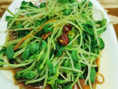 -少林寺欢喜地素斋馆