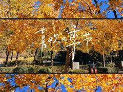 -大望京公园