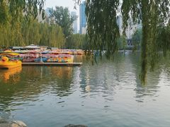 -团结湖公园