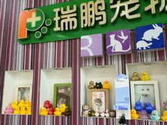 -瑞鹏·疫苗·绝育·宠物医院(金沙洲店)