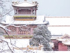 -故宫博物院(故宫)