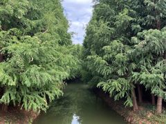-捞渔河湿地公园