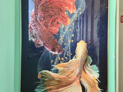 -鑫巴蜀小镇 · 水煮鱼专研店(玉桥店)