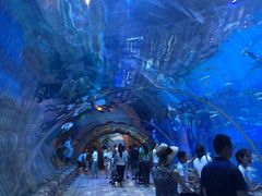 -华夏文旅海洋公园