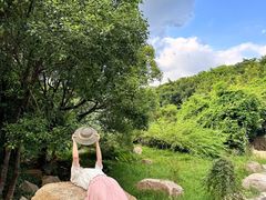 -深圳国际园林花卉博览园