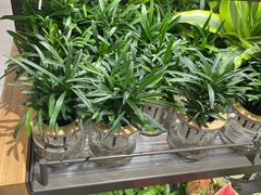 -鹿岛生活(熙地港店)