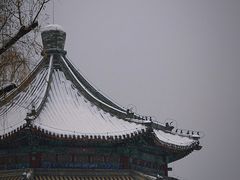 -颐和园
