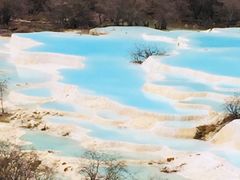-黄龙山原始森林景区