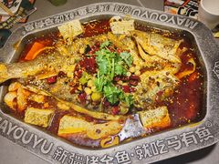 -马有鱼·馕坑烤全鱼(美美2店)