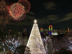 -台场海滨公园船码头