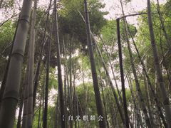 -法云安缦酒店