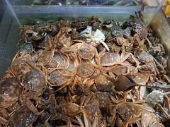 -领鲜活海鲜榴莲自助火锅(东门店)