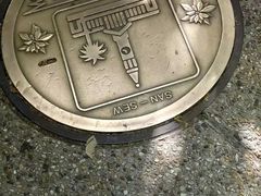 -布里斯班南岸公园