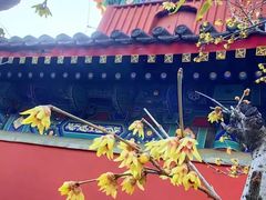 -国家植物园南园