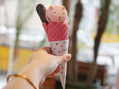 表情原味冰激凌-WHEN PIGS FLY当猪飞