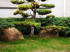 -张江润和国际总部园