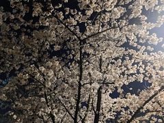-龙美术馆(西岸馆)